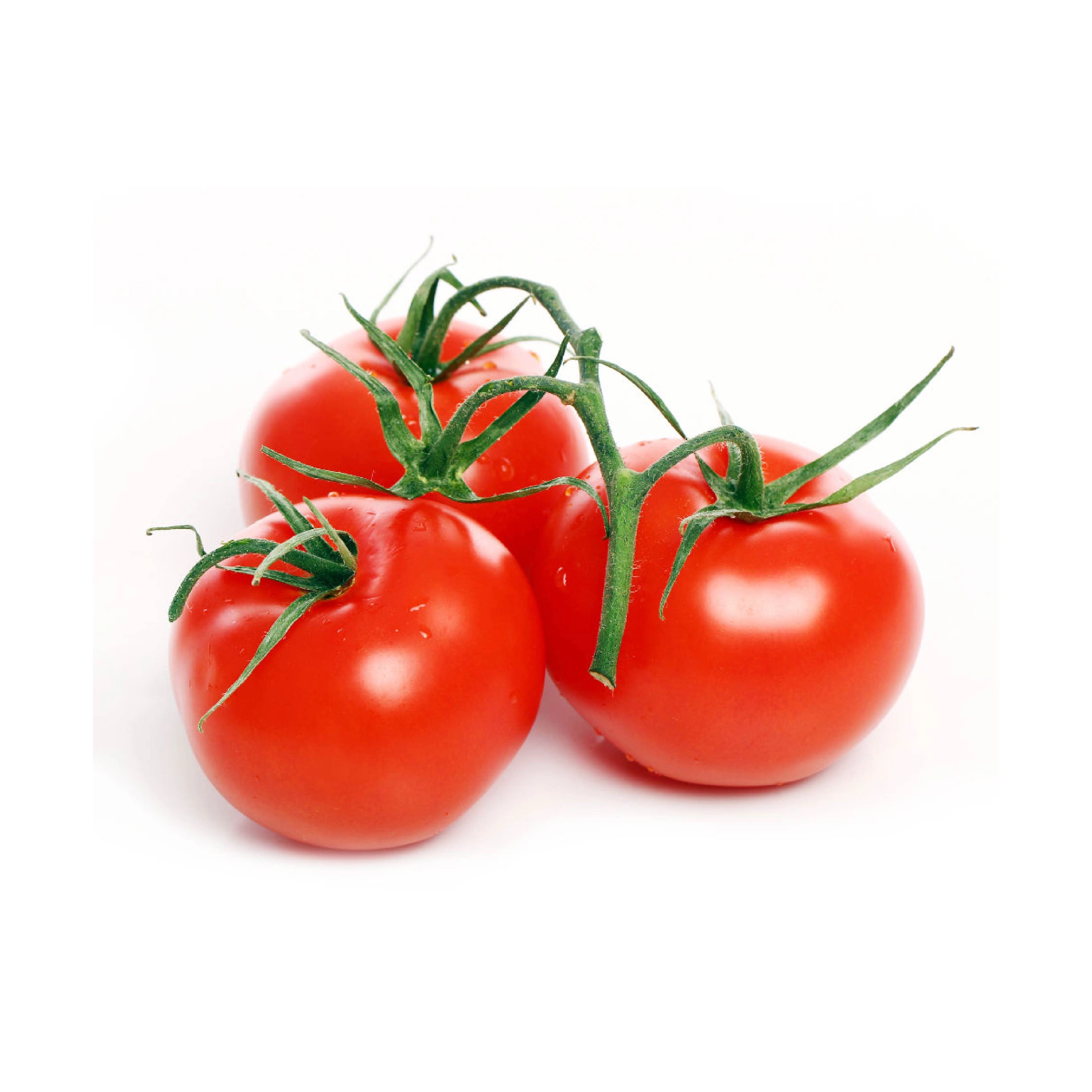 Organic Tomatoes