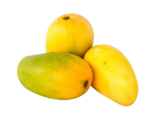 Dasahari Mango